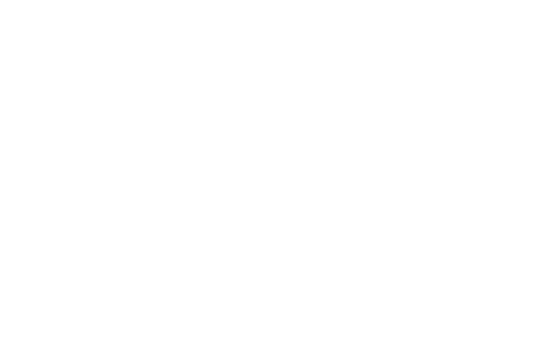 logo-self-white.png